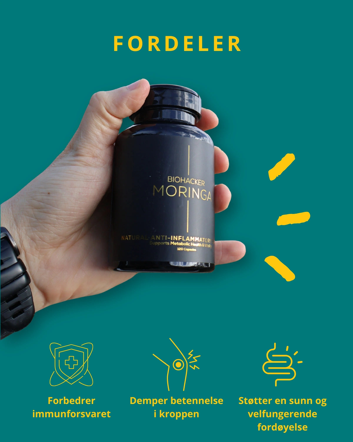 Moringa | 1000 mg | 120 Kapsler
