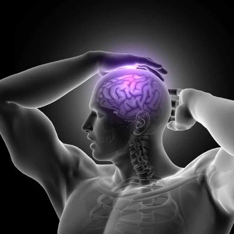 en mann som holder på hodet og viser hjernes funksjon 