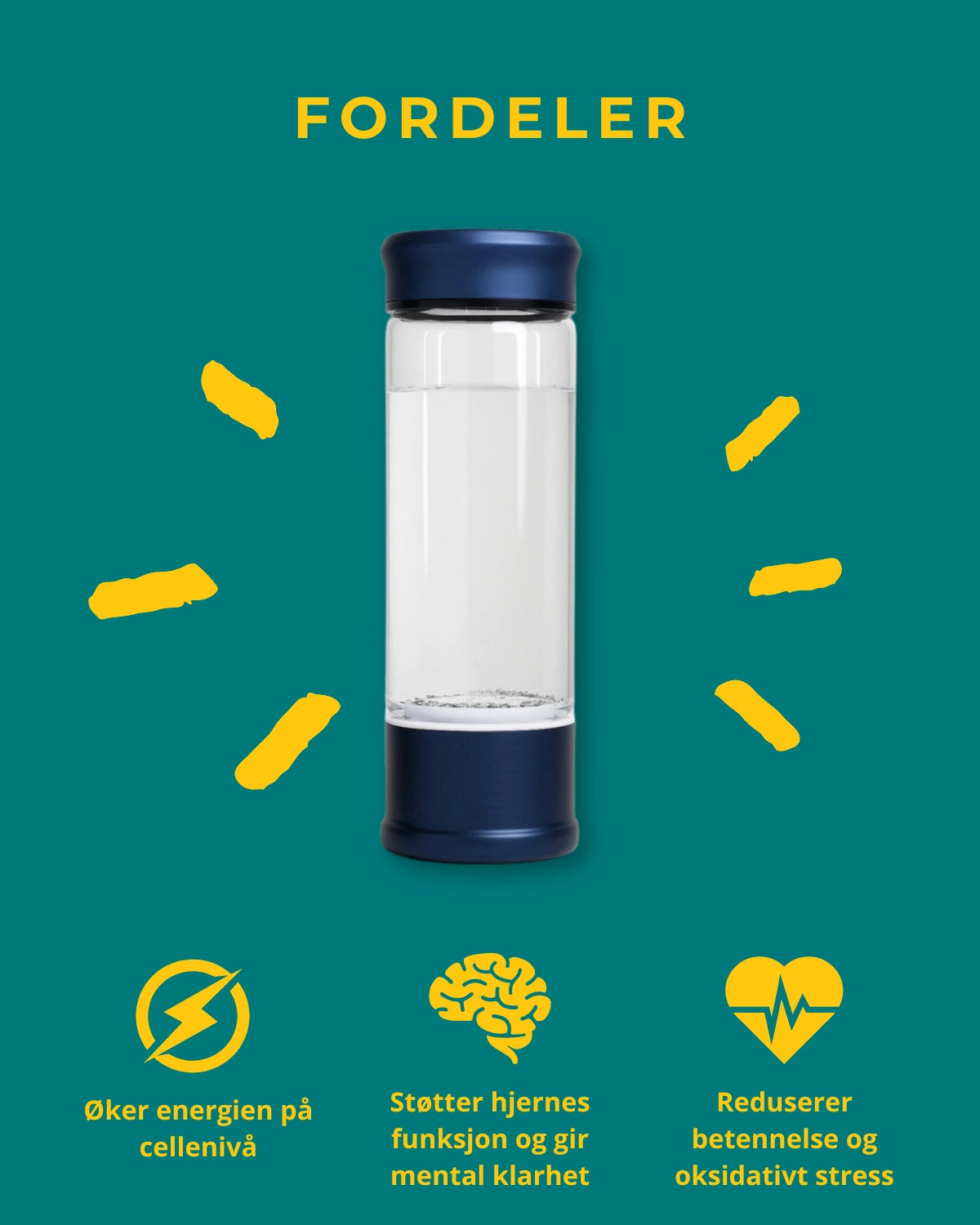 Hydrogen Water Generator